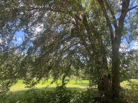983 Mays Rd, Lamont, FL 32336 photo 15