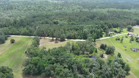 983 Mays Rd, Lamont, FL 32336 photo 2