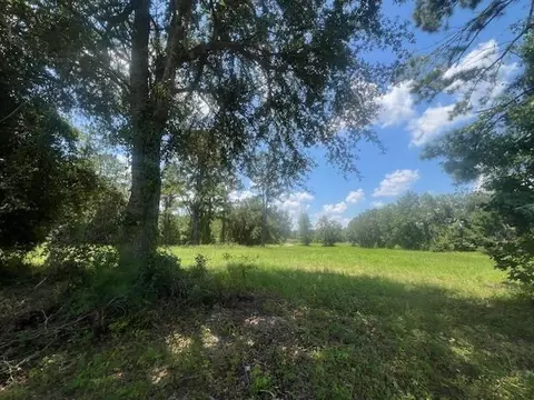 983 Mays Rd, Lamont, FL 32336 photo 21