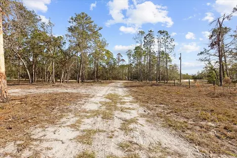 18397 E Whitetail Dr, Perry, FL 32348 photo 31