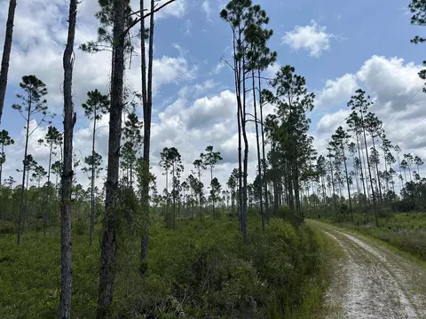 Tract 90 Circle Block Loop Loop, Perry, FL 32348 photo 9