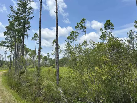 Tract 90 Circle Block Loop Loop, Perry, FL 32348 photo 20
