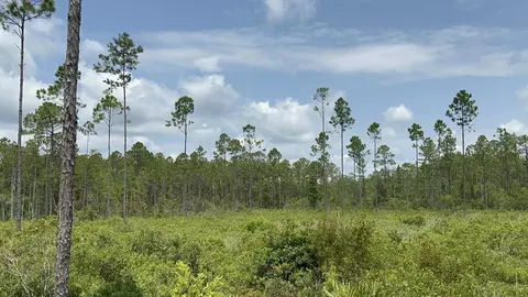 Tract 90 Circle Block Loop Loop, Perry, FL 32348 photo 28