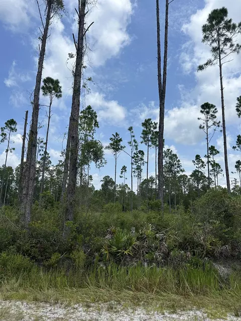 Tract 90 Circle Block Loop Loop, Perry, FL 32348 photo 30