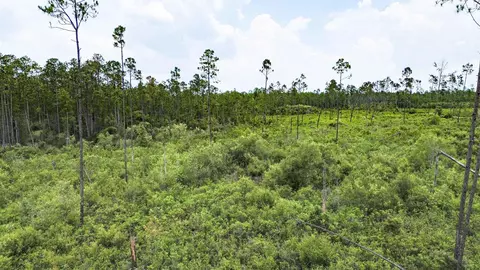 Tract 90 Circle Block Loop Loop, Perry, FL 32348 photo 38