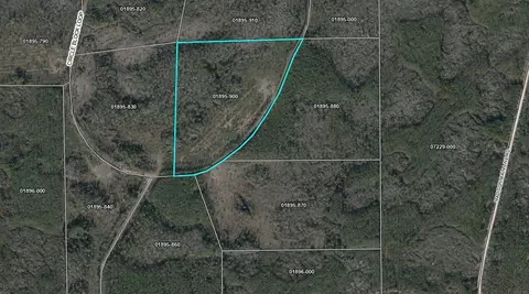 Tract 90 Circle Block Loop Loop, Perry, FL 32348 photo 41