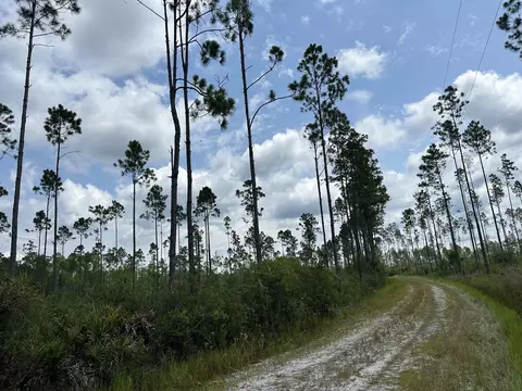 Tract 90 Circle Block Loop Loop, Perry, FL 32348 photo 5