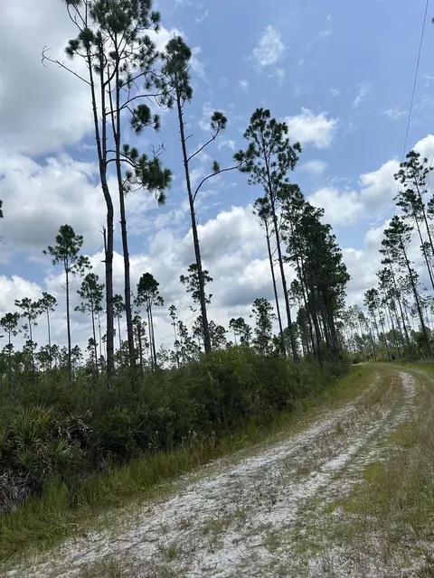 Tract 90 Circle Block Loop Loop, Perry, FL 32348 photo 4