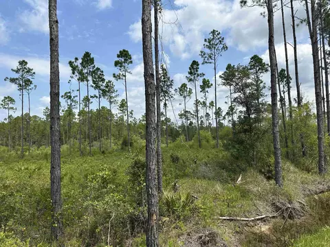 Tract 90 Circle Block Loop Loop, Perry, FL 32348 photo 22