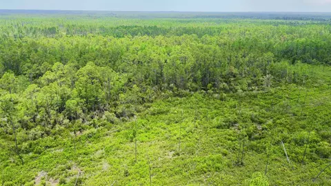 Tract 90 Circle Block Loop Loop, Perry, FL 32348 photo 2