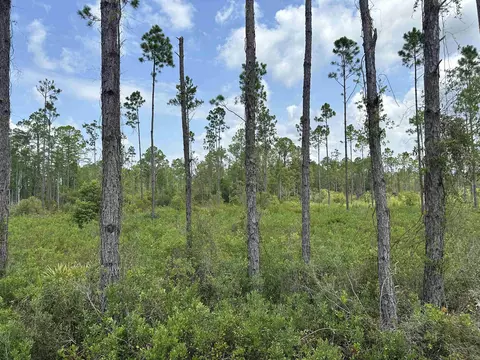 Tract 90 Circle Block Loop Loop, Perry, FL 32348
