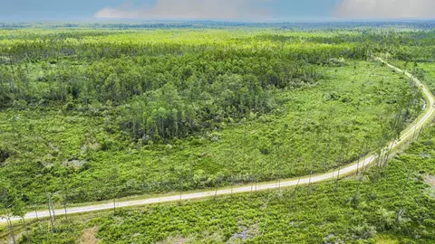 Tract 90 Circle Block Loop Loop, Perry, FL 32348 photo 39