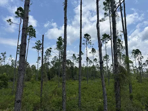Tract 90 Circle Block Loop Loop, Perry, FL 32348 photo 7