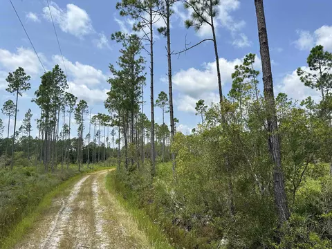 Tract 90 Circle Block Loop Loop, Perry, FL 32348 photo 21