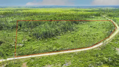 Tract 90 Circle Block Loop Loop, Perry, FL 32348 photo 40