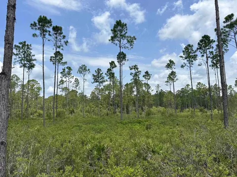 Tract 90 Circle Block Loop Loop, Perry, FL 32348 photo 15