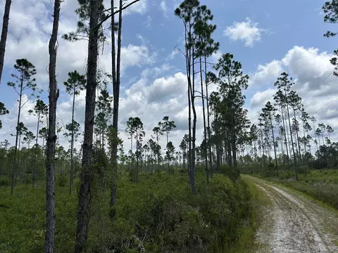 Tract 90 Circle Block Loop Loop, Perry, FL 32348 photo 8