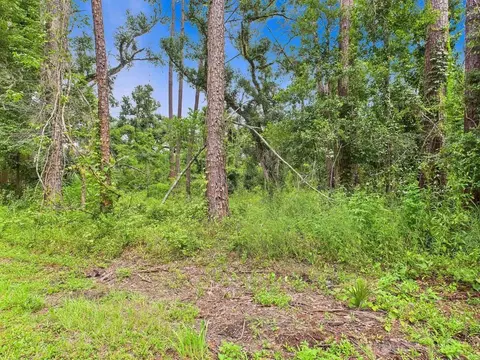 tbd N Veterans Dr, Perry, FL 32348 photo 3