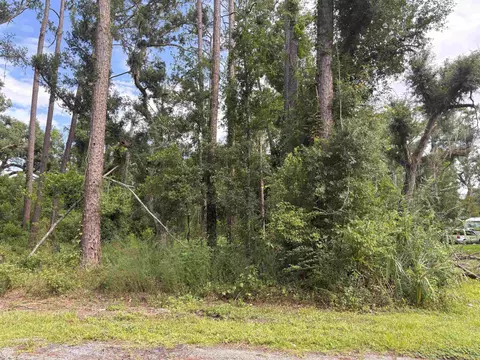 tbd N Veterans Dr, Perry, FL 32348 photo 2