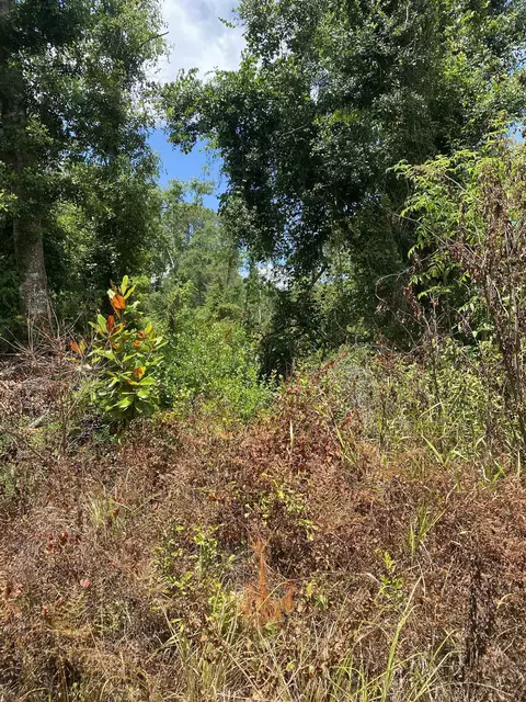 SW Main Street, Greenville, FL 32331