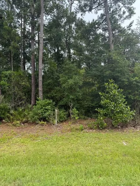 NE County Road 67, Hosford, FL 32334