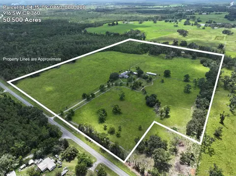 916 SW Cr 360, Madison, FL 32340