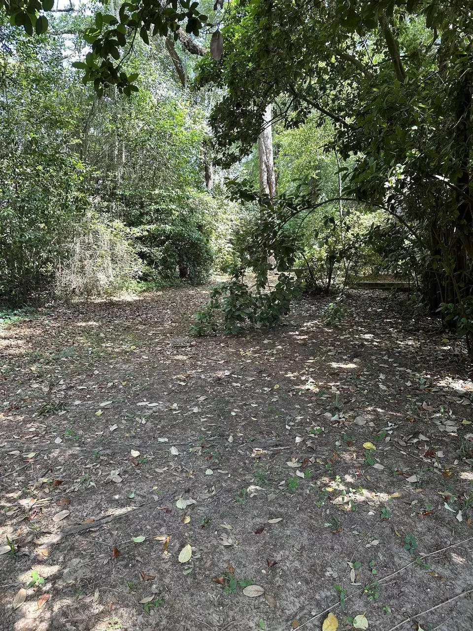 Exterior - 6448 Joe Cotton Trl, Tallahassee, FL 32309 photo 5 of 5