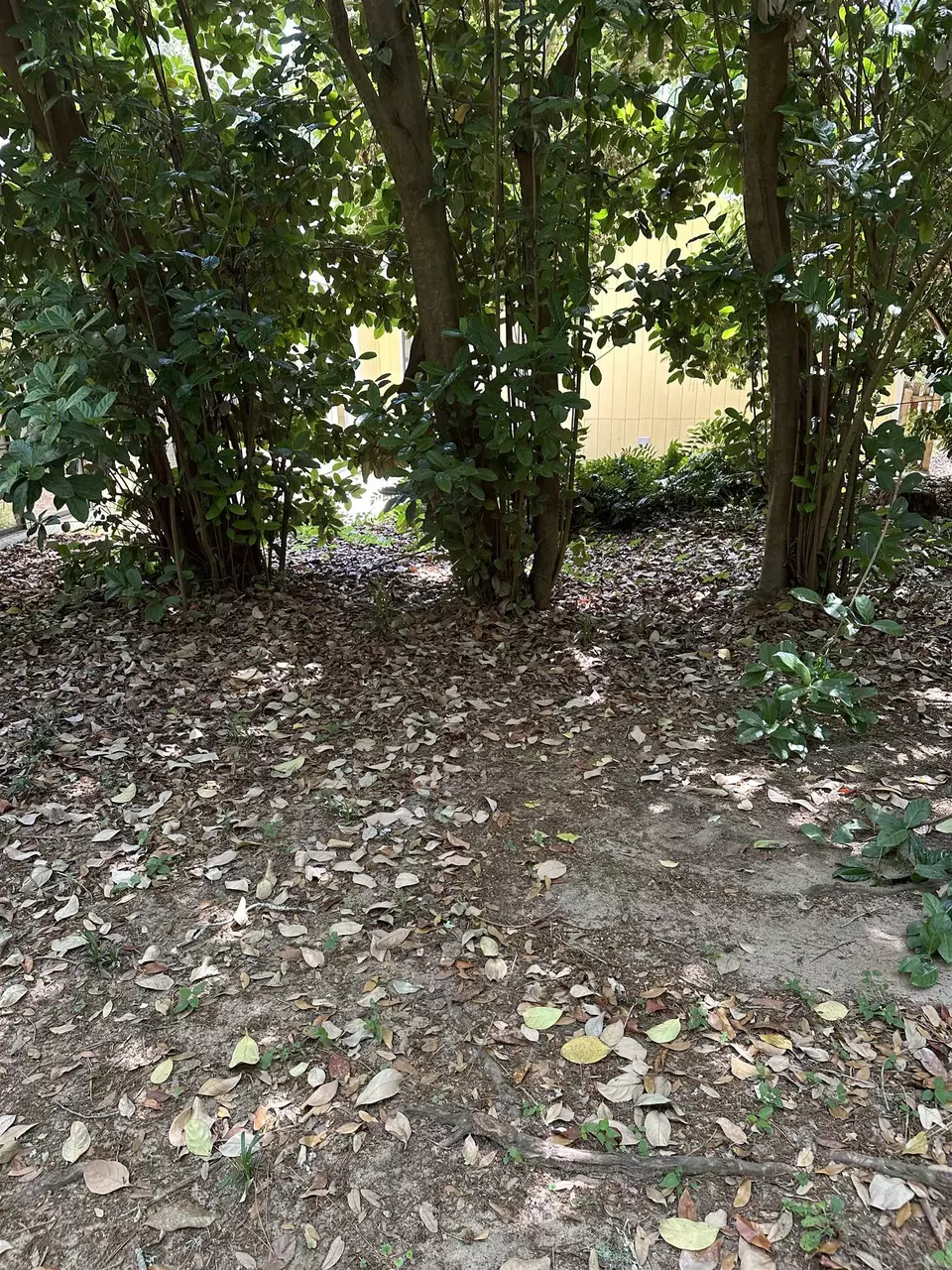 Exterior - 6448 Joe Cotton Trl, Tallahassee, FL 32309 photo 3 of 5
