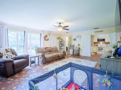 Living - 249 NE Bevan Loop, Madison, FL 32340 photo 3 of 5
