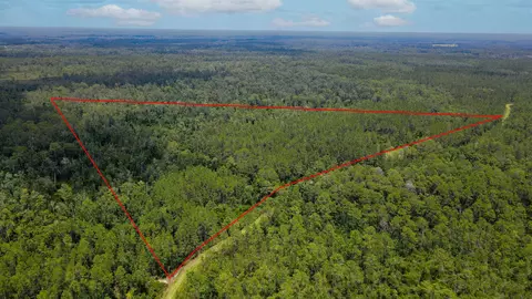 lot115 SW Pier Rd, Greenville, FL 32331