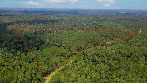 lot115 SW Pier Rd, Greenville, FL 32331