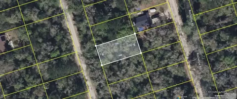 19 Neeley Road, Crawfordville, FL 32327
