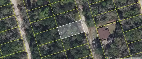 40 Rochelsie Road, Crawfordville, FL 32327