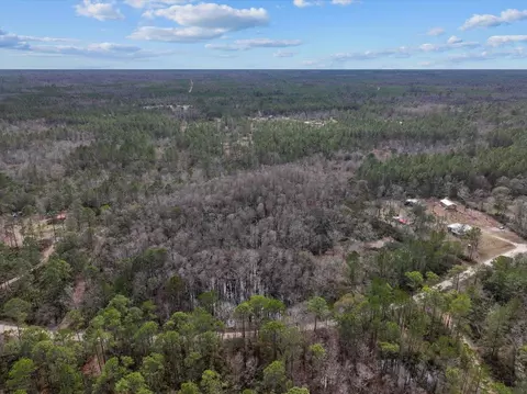 17641 Aucilla River Estates Rd, Lamont, FL 32336 photo 17