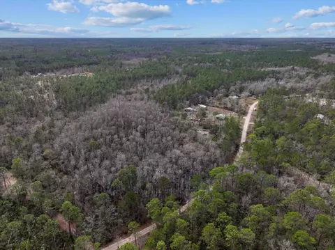 17641 Aucilla River Estates Rd, Lamont, FL 32336 photo 18