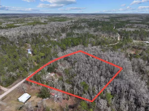 17641 Aucilla River Estates Rd, Lamont, FL 32336 photo 3