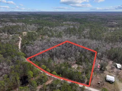 17641 Aucilla River Estates Rd, Lamont, FL 32336 photo 2