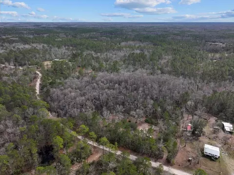 17641 Aucilla River Estates Rd, Lamont, FL 32336 photo 19