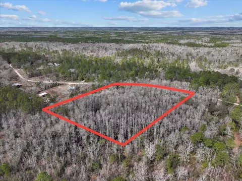 17641 Aucilla River Estates Rd, Lamont, FL 32336 photo 5