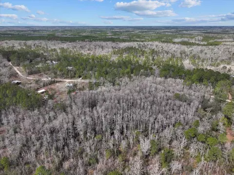 17641 Aucilla River Estates Rd, Lamont, FL 32336 photo 16