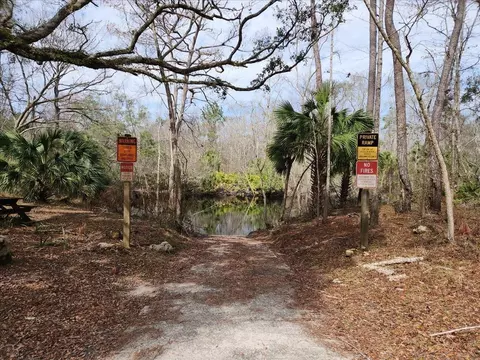 17641 Aucilla River Estates Rd, Lamont, FL 32336 photo 11