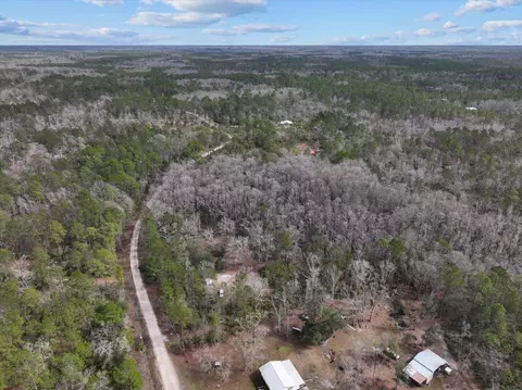 17641 Aucilla River Estates Rd, Lamont, FL 32336 photo 13