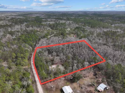17641 Aucilla River Estates Rd, Lamont, FL 32336 photo 4