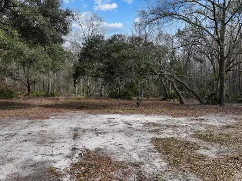 17641 Aucilla River Estates Rd, Lamont, FL 32336