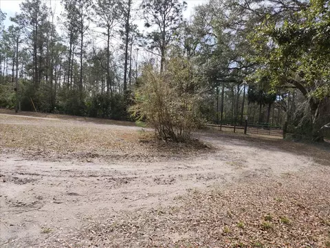 17641 Aucilla River Estates Rd, Lamont, FL 32336 photo 10
