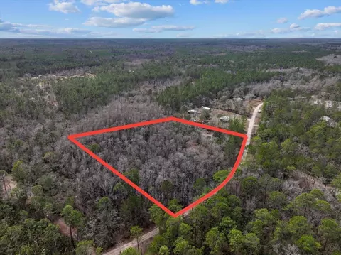 17641 Aucilla River Estates Rd, Lamont, FL 32336 photo 6