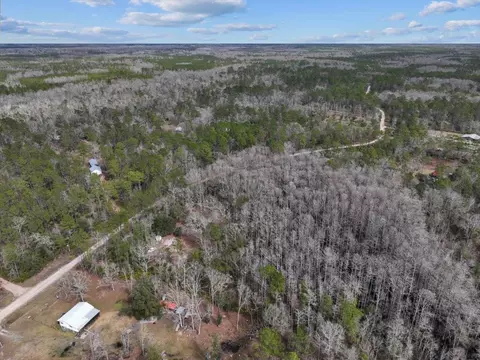 17641 Aucilla River Estates Rd, Lamont, FL 32336 photo 12