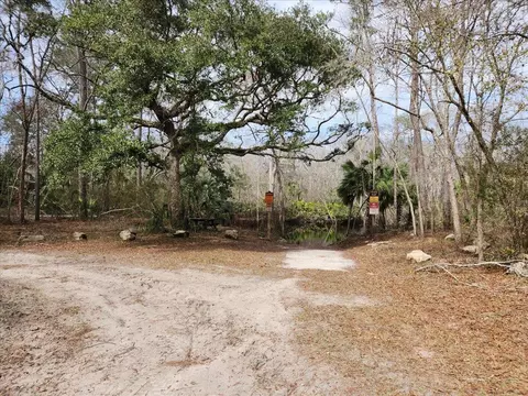 17641 Aucilla River Estates Rd, Lamont, FL 32336 photo 9