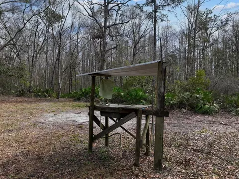 17641 Aucilla River Estates Rd, Lamont, FL 32336 photo 8