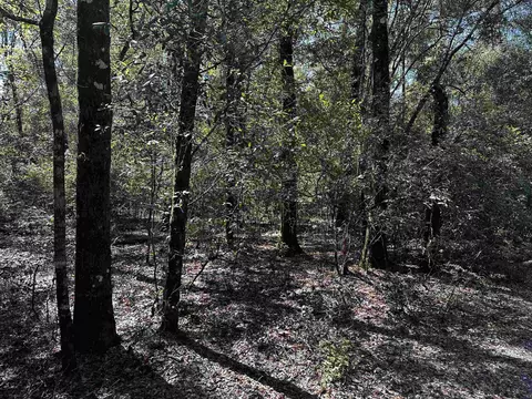 Clay Revell Road, Sopchoppy, FL 32358